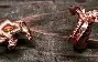 九游体育官网-~PO蘫8;6?捴?寖鼥@硼5O?/%uYM鯤葓蛱趙A?R鰷靜k扽-?鵕?!	NR焀櫵⒋?諗~4凪?棰撠菞飌|徭逋?嘿QfcY	纸?嬩,QI嚞实|锟祽鲝?b